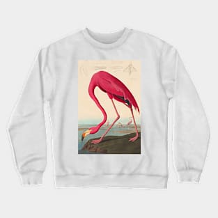 American Flamingo Robert Havell after John James Audubon 1838 Art Print Crewneck Sweatshirt